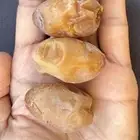 ثمرة تمر خلاص فاخر حبه جامبو