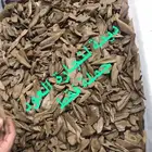 ادهان و أعواد بالجملة ابدأ تجارتك 