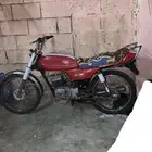 دباب سزوكي