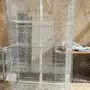 محاكر التربيه الحمام