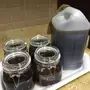 عسل سدر مضمون