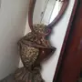 مدخل خشب