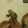  فرخ روز هدد نهاية غر 