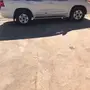 جيب جي اكس 2014