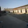 مشروع دواجن لقططة للتقبيل