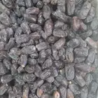 خضري حبه كبير