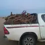 حطب للبيع 