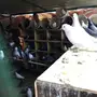 حمام نجدي