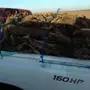 حطب للبيع