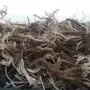حطب رمث 
