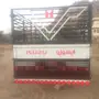 صندوق دينا باخشب وكاله