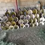 حمام زاجل للبيع 