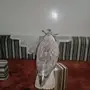طير وحش للبيع