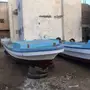 قوارب بحر ( لنشات ) صيد للبيع