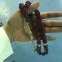 مسباح فاتوران 