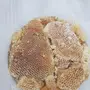 عسل سدر شمع مضمون بالذمه 
