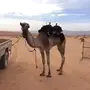 لقي موجه توجيه طيب وهادي. 