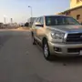 سكويا 2010 ذهبي 