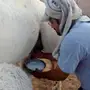 خلفه او خلفات للبيع بيشه الجنوب 