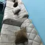 كنب تركي نظيف جدا استخدام اسبوعين فقط