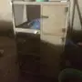 محكرين وحضانة فروخ 