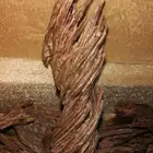 جميع انواع عود الغابات الطبيعيه النادره حصريا