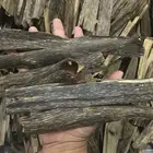 العود الطبيعي بجميع انواعه نادرمميز جوده وسعر