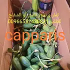 بذور و زيت و ثمار شفلح القبار