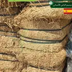 برسيم الراعي استيراد اسبانيا