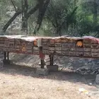 نحل للبيع قوي ويشه