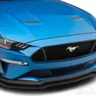 دقن موستنج 2018 - 2023