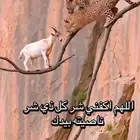 كداد من الخميس الى نجران والى جازان