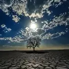 مطلوب امام مسجد في رمضان