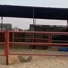 حوش ابل للايجار
