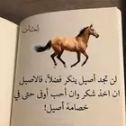 معارض وشقق للايجار بالحوية - بمخطط جوهرة الحوية2
