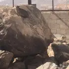 وبران بريه جنوبيه انتاج محميه