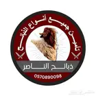 ذبيحتك لباب بيتك نعيمي و حري و ساكني