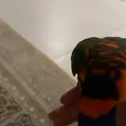 لوري تربيه هدد للبيع يصلح حق الأطفال