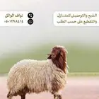 ذبيحتك لباب بيتك
