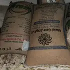 حب بيضاء
