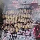 شبك حرير مربط