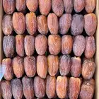 مجدول درجه اولى انتاج مزارعنا 2025-1447