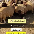 ذبيحتك لبيتك اطيب انواع الحلال