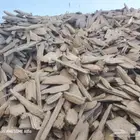 عود دقة مليكة محسن