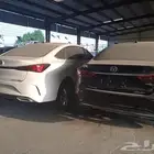 ايدو بلص شجان