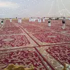 زل ملكي الإيجار وخيم اوربيه وبيوت شعر وكراسي ملكي