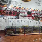 شماسه سيارات ستاره سياره مظله سياره