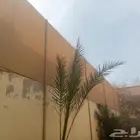 سواتر