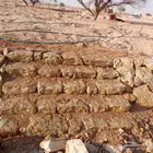 من اعمالنا في الحجر الربراب