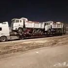لوبد في تبوك